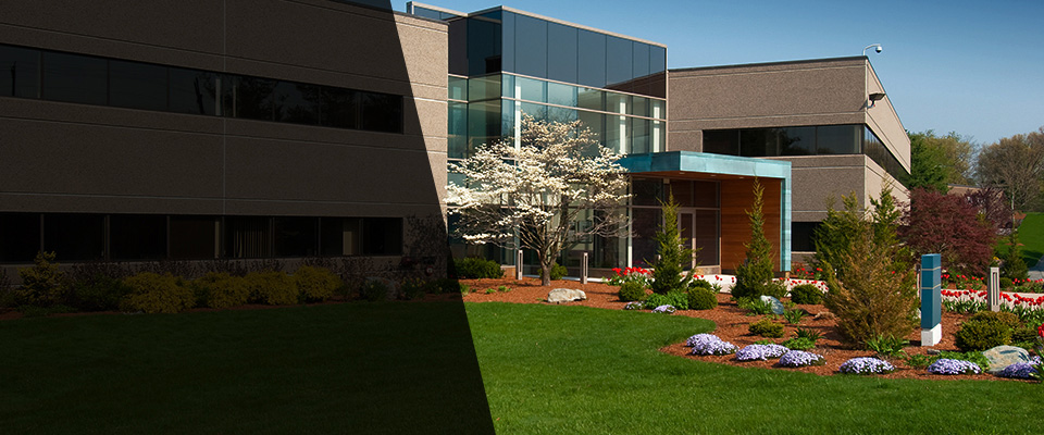 Grey Eagle Landscapers