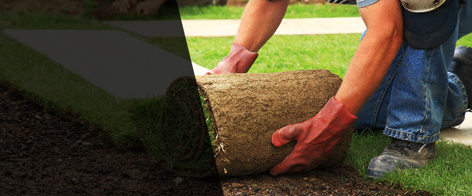 Grey Eagle Landscapers